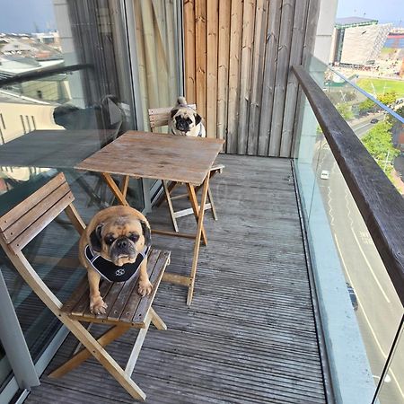 בלפסט Benji & Milos Apartments מראה חיצוני תמונה